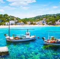 How many Ibizas can you discover?