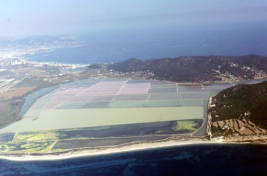 Parco naturale di Ses Salines: collega con la natura a Ibiza e Formentera