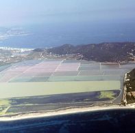 Parque Natural de Ses Salines: conecta con la naturaleza en Ibiza y Formentera