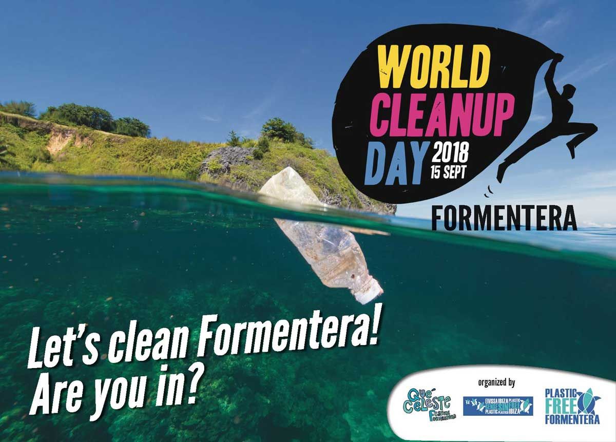 World Cleanup day 2018