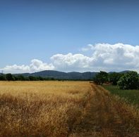 Spring tourism in Ibiza