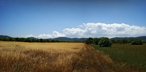 Spring tourism in Ibiza