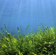 Formentera: aigue-marine, plages fantastiques atmosphère unique