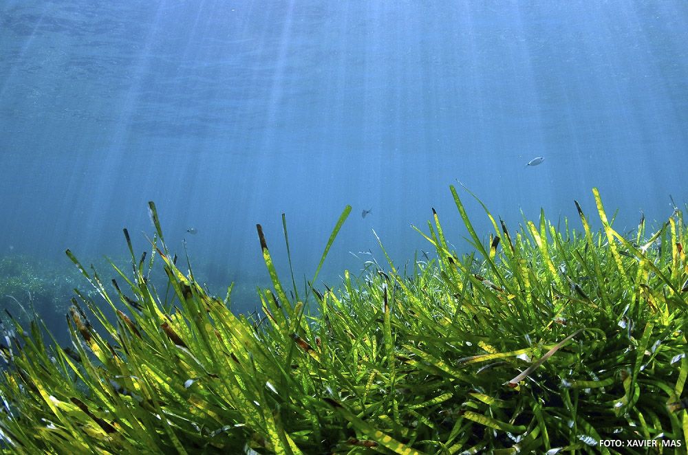 Formentera: aigue-marine, plages fantastiques atmosphère unique